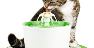 Fontaine à eau pour chat